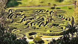 glendurgan garden maze timelapse you