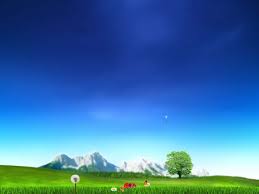 nature animated wallpaper free