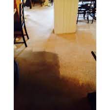 busy bee carpet cleaning ltd