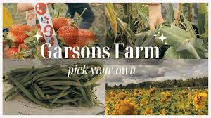 travel with me garsons farm pyo