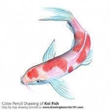 Das ist das neue ebay. Koi Fish Color Pencil Drawing Koifishcolors Color Pencil Drawing Koi Fish Koi Fish Drawing