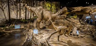 the royal tyrrell museum has an