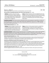 Example Vice President Resume For An Executive Candidate