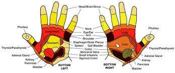 A Basic Guide To Hand Mudras Hand Mudras Acupressure