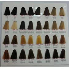 Framcolor 2001 Color Charts Hair Beauty __cat__ Beauty