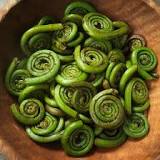 Everything You Need to Know About Fiddlehead Ferns