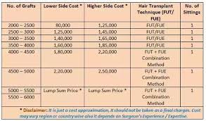 How Much Does It Cost To Get Hair Transplant In India Quora