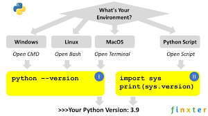 check python version a simple