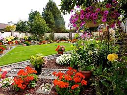 Image result for back garden with flowers pictures