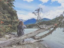 Travel insurance combines insurance for your belongings as well as your health, which is great for us digital nomads who are abroad with a lot of equipment. Best Backpacker Insurance True Traveller V World Nomads Insurance