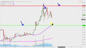 Cannasys Inc Mjtk Stock Chart Technical Analysis For 02 22 17