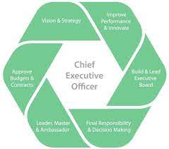 Chief financial officer job description chief financial officers (cfos) must have strong analytical, strategic planning and communication skills, including an ability to work well with the chief executive officer, board members and other senior managers. Ad Interim Ceo Interim Chief Executive Officer Role Of Ceo Chief Operating Officer Chief Marketing Officer