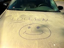 Image result for pollen on car