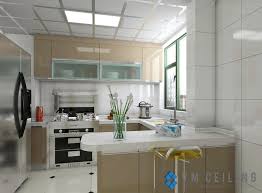 drywall ceiling or suspended ceiling