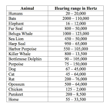 Sounds Test Your Hearing Fascinating Animals