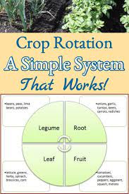 Garden Crop Rotation A Simple System