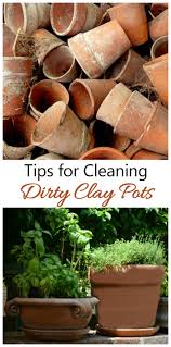 cleaning clay pots how to clean