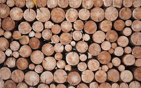 26 types of wood and their uses facts net