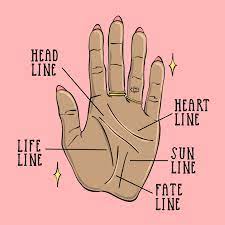 palm reading for beginners how to read