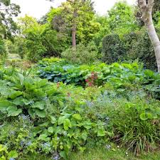 Permaculture Gardening With Woodchip
