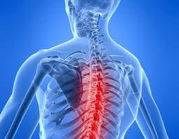 There are generally three different types of back pain Nevada Lower Back Injury Lawyer Benson Bingham