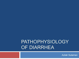 Pathophysiology Of Diarrhea