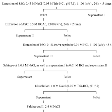 Flow Chart For The Isolation Procedures Of Ssc Asc And Psc