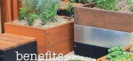 best soil for raised garden beds