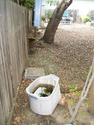 Organic Edible Gardening Rain Barrel