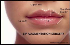 lip augmentation surgery cost in india