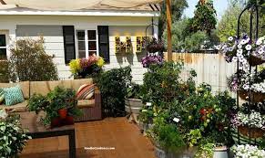 Best Container Home Gardening Tips