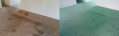 area rug dyeing carpet dye tech