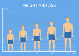average height for 16 year old boys and