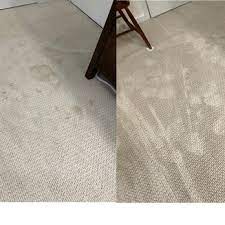 steamaster carpet cleaning 16 photos