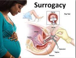 There are two types of surrogacy: Surrogacy In India In New Delhi By Go Ivf Surrogacy Id 21157771491