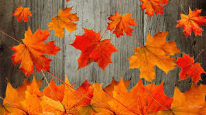 autumn desktop wallpapers