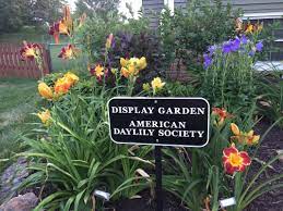 display gardens nebraska daylily society