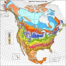 Plant Hardiness Zones