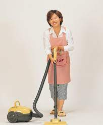 home cleaning service arlington ma