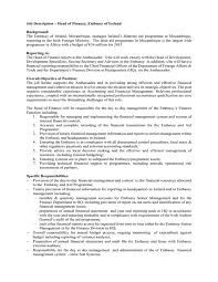 Here is a chief financial officer job description template detailing typical duties and responsibilities for a cfo. Job Description Head Of Finance Embassy Of Ireland Background