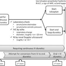 A Flow Chart Of Treatment Strategies In Patients Included In