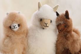 sheepskin and alpaca souvenir s