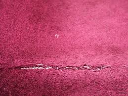 softspring carpet inspired renovation