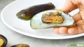 Do you chew or swallow mussels?