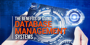 The Benefits Of Using Database Management Systems Ringlead