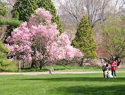 The Official Web Site for The State of New Jersey | Frelinghuysen Arboretum
