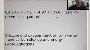 what is the chemical equation for