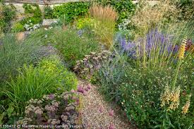 Gravel and Rock Gardens - The ... - Marianne Majerus Garden Images