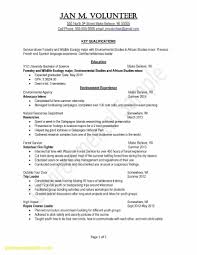 Registerede Resume Objective Statement Examples Maydan