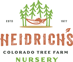 Heidrich S Colorado Tree Farm Nursery